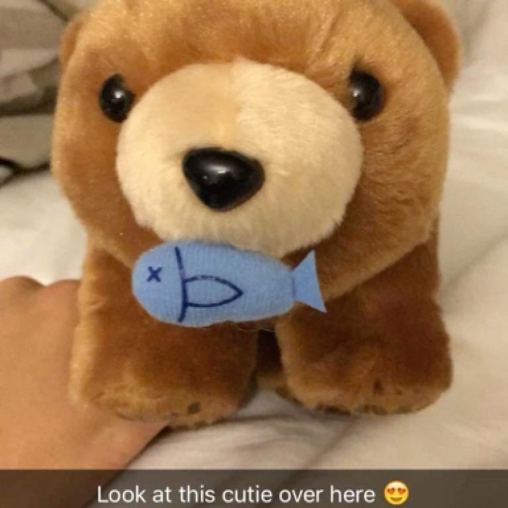 Meet your Posher, Happy